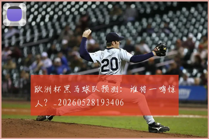 欧洲杯黑马球队预测：谁将一鸣惊人？_20260528193406
